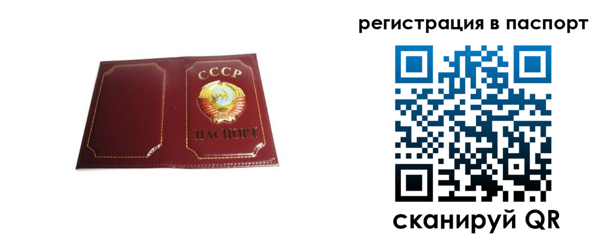 прописка 2025 в Жирновске